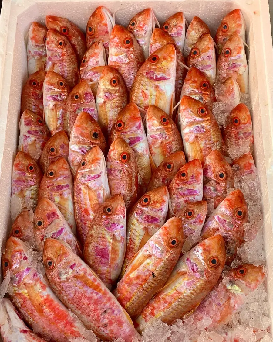 Triglia fresca della Pescheria Catanzaro