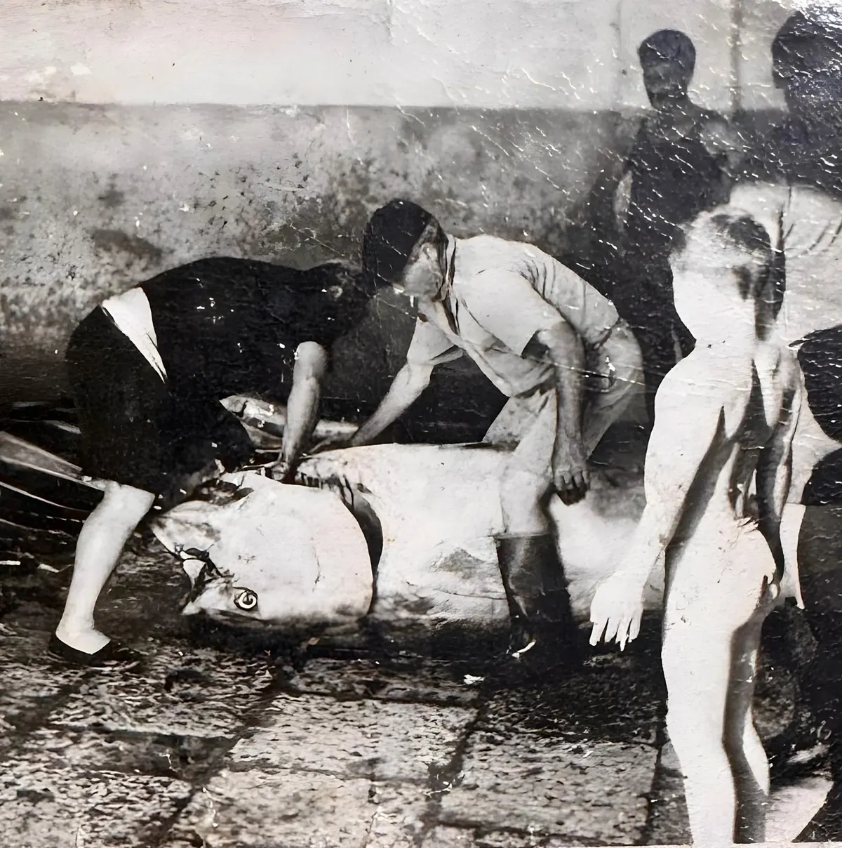 Foto storica Pescheria Catanzaro